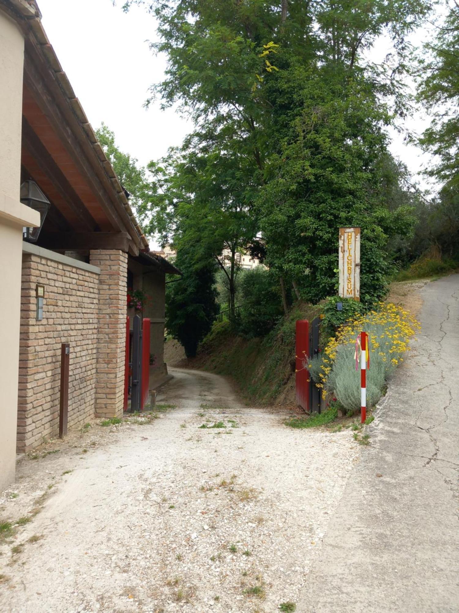 Bed and Breakfast Helichrysum Vinci Exterior foto