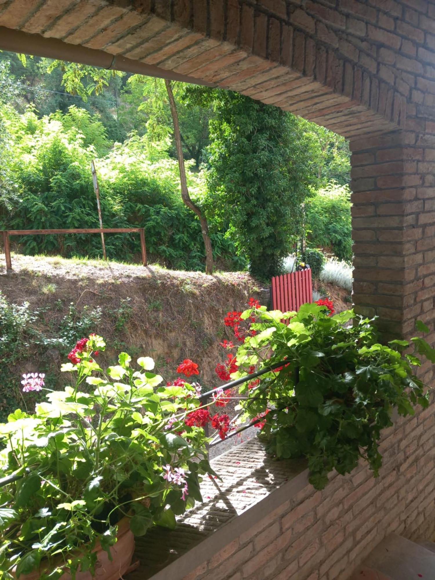 Bed and Breakfast Helichrysum Vinci Exterior foto