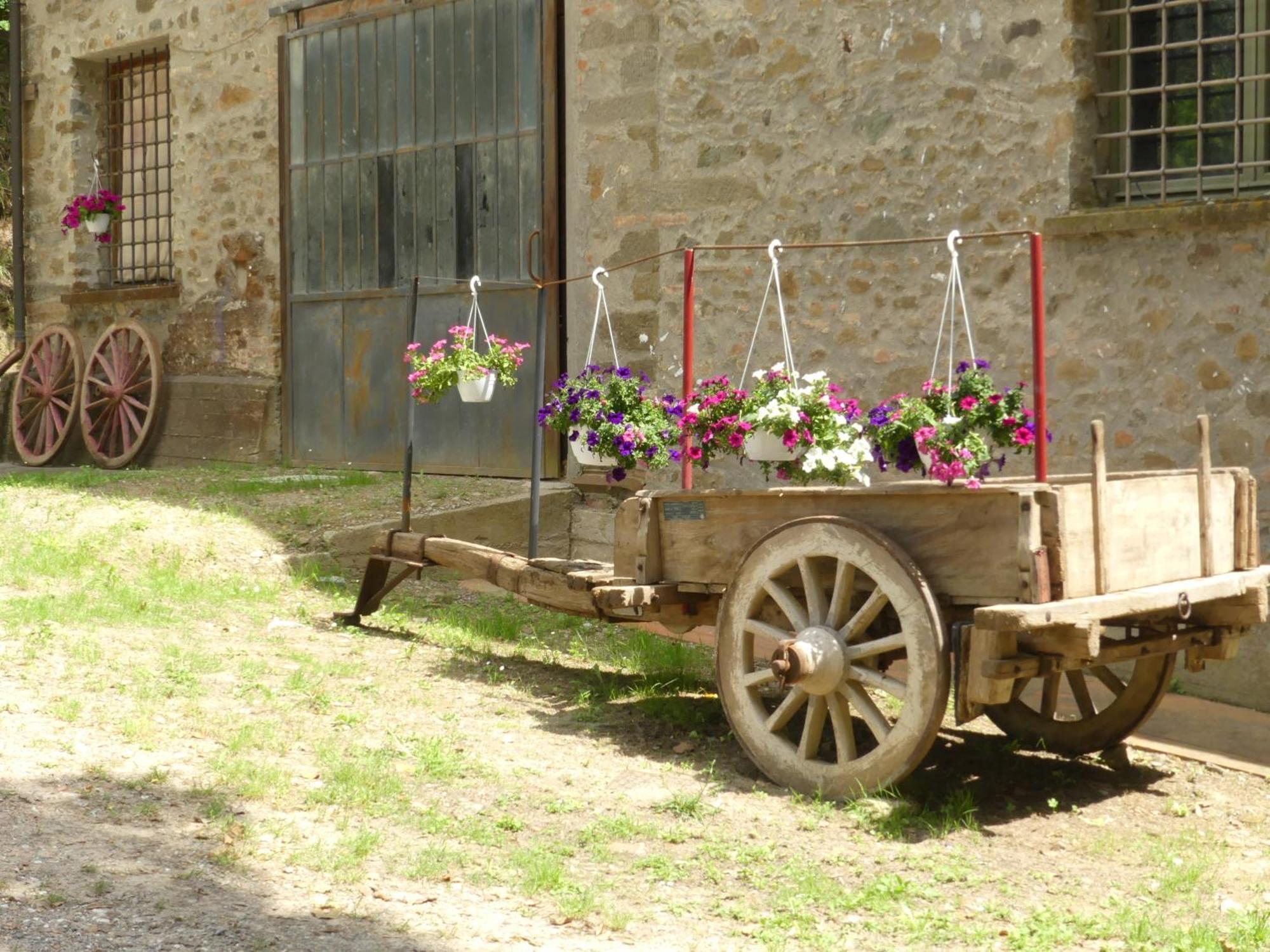 Bed and Breakfast Helichrysum Vinci Exterior foto
